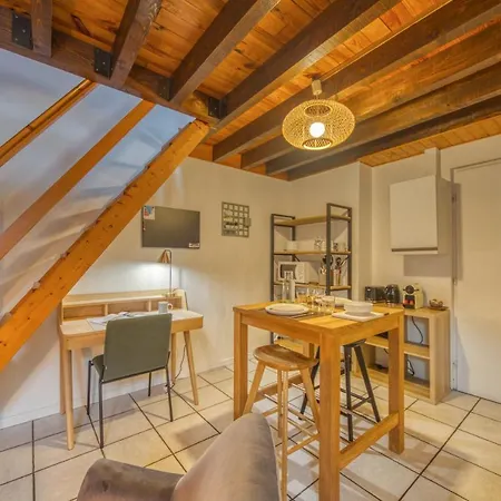 Le Petit Jaures - Gare / Tram Apartment Grenoble Exterior photo